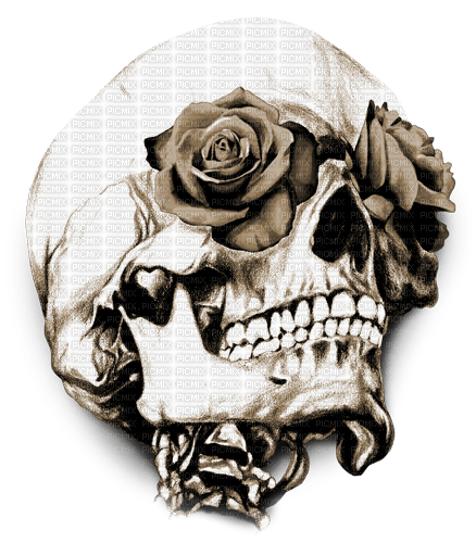 Y.A.M._Gothic skull sepia - ücretsiz png