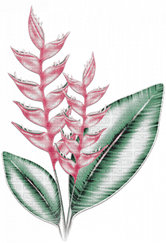 soave deco summer branch  pink green - Free PNG