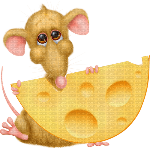 mouse by nataliplus - bezmaksas png