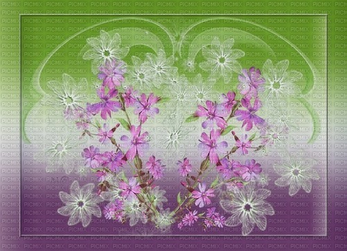 bg-lila-grön--blommor--background-flowers - png ฟรี