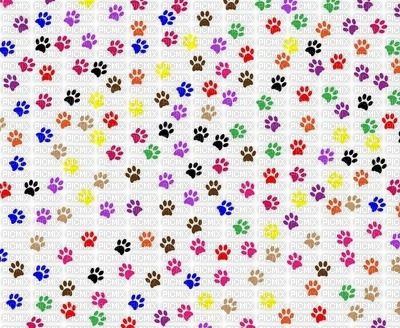 paws print wall - PNG gratuit