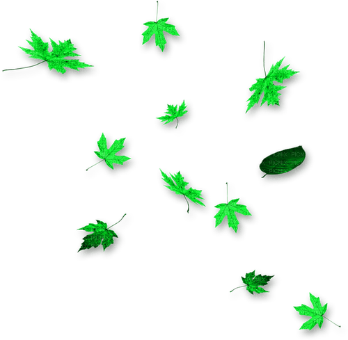 Leaves.Green - 免费PNG