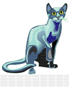 chats - GIF animé gratuit