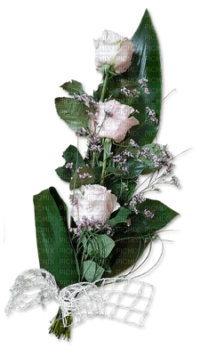 rose blanche.Cheyenne63 - nemokama png