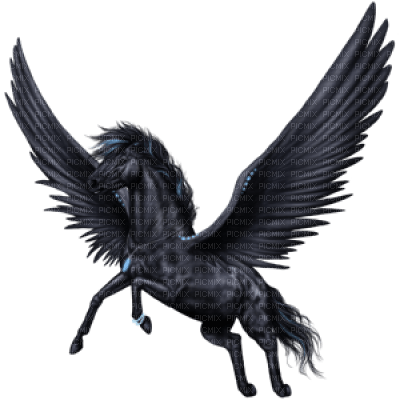 Pegasus - zadarmo png
