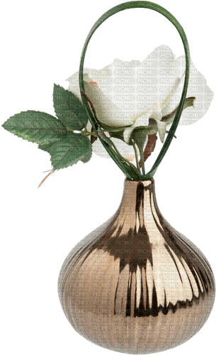 Rose blanche.White.Flower.Victoriabea - PNG gratuit