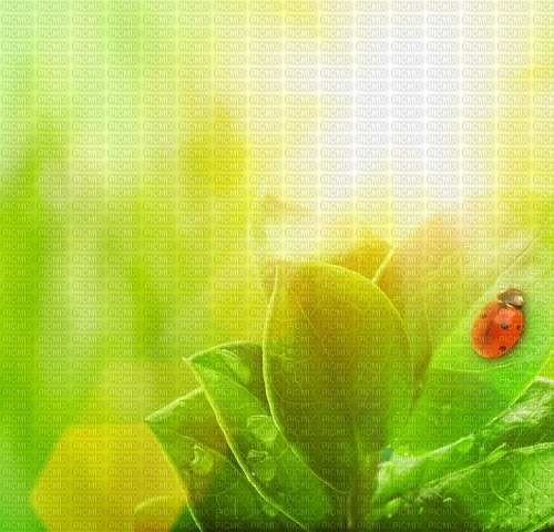green spring background - δωρεάν png