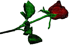 rosa - Ingyenes animált GIF