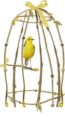 cage with bird - png grátis