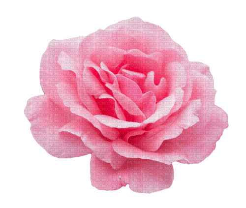 vintage rose - kostenlos png