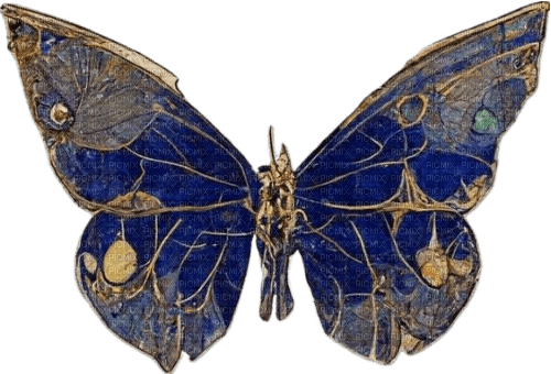 blue butterfly - nemokama png