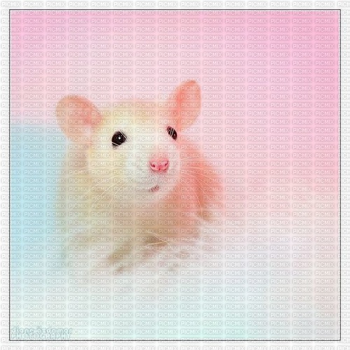 Sweet Mouse - Free PNG