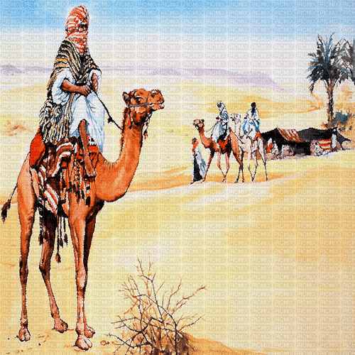 wüste milla1959 - Darmowy animowany GIF