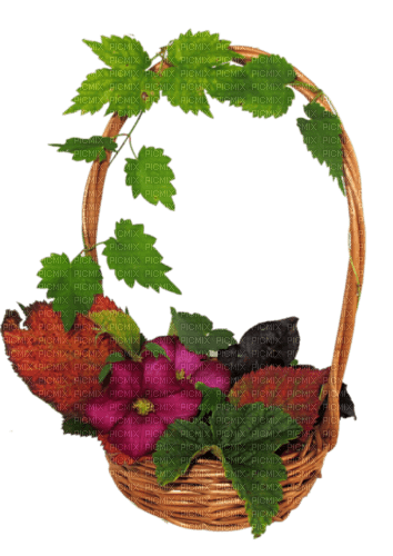 autumn  fruits basket  dubravka4 - darmowe png