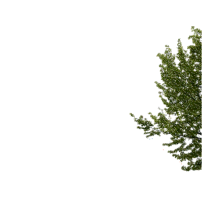 Деревья - Ingyenes animált GIF