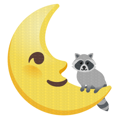 raccoon moon night - ücretsiz png