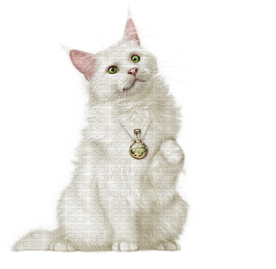 Kaz_Creations Cats Cat Kittens Kitten - darmowe png