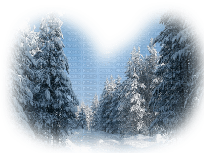 Winter Backgrounds - 免费PNG