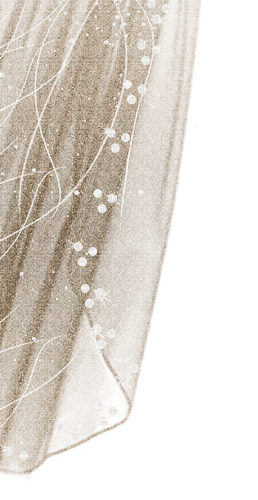 soave deco curtain  sepia - 免费PNG