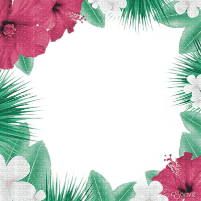 soave frame summer tropical flowers green pink - PNG gratuit