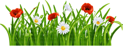 Kaz_Creations Deco Flowers Flower Colours - бесплатно png
