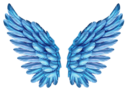 blue wings - 免费PNG