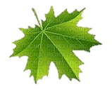 leaf - PNG gratuit