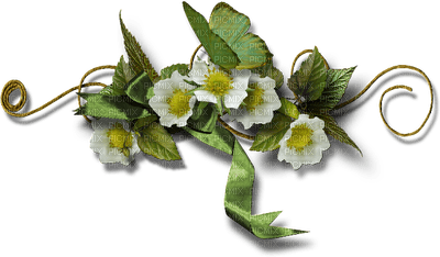 fleurs/deco - png grátis