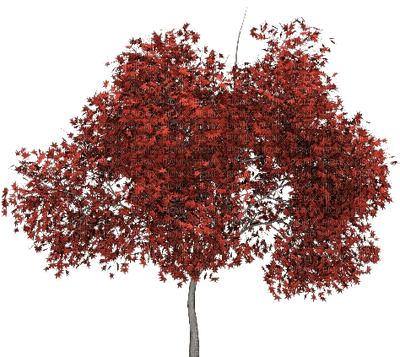 Kaz_Creations Deco Trees Tree Colours - png gratis