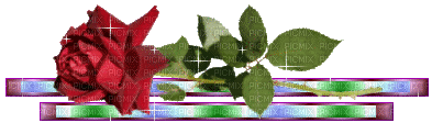barra com rosa - Ingyenes animált GIF