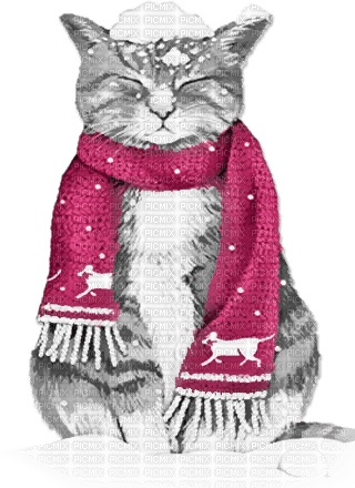 soave cat animals winter christmas deco black - PNG gratuit