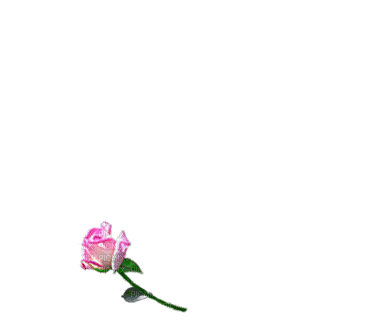 coeur de roses - 免费动画 GIF
