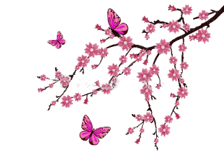 Kaz_Creations Flowers Deco - 免费PNG