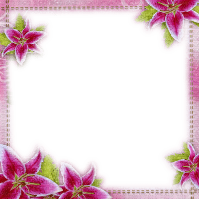 frame cadre flowers - ücretsiz png