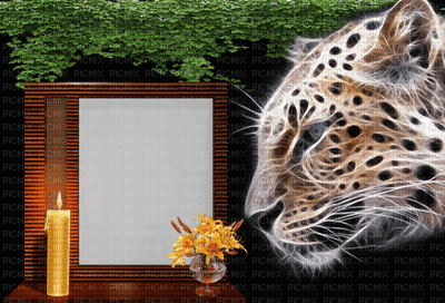 leopard bp - png gratuito
