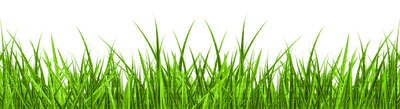 Kaz_Creations Garden-Deco-Grass - бесплатно png