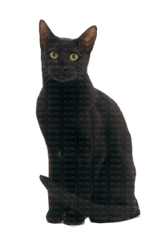 chat - Free PNG