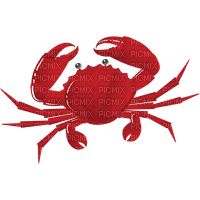 crab - darmowe png