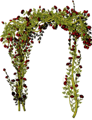 Kaz_Creations Garden Deco Flowers - darmowe png