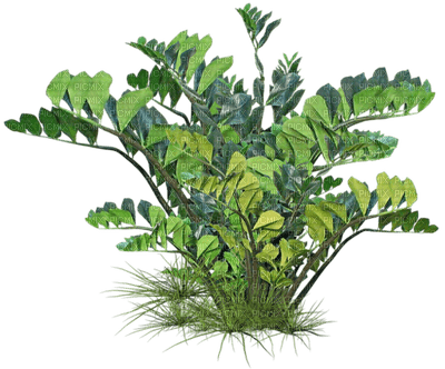 Kaz_Creations Trees Tree Colours - 免费PNG