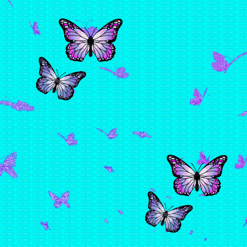 MA  / Bg.animated..butterflies.turquoise.idca - GIF animado gratis