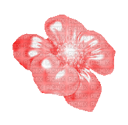 Jewel, Jewels, Jewelry, Deco, Decoration, Flower, Flowers, Red - Jitter.Bug.Girl - Free animated GIF