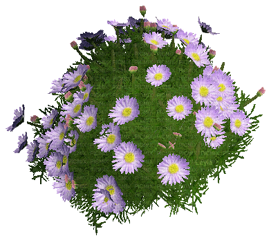 flores gif-l - Безплатен анимиран GIF