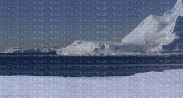 pingouin lol marrant neige - GIF animé gratuit