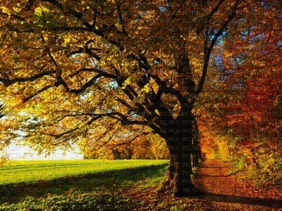 Kaz_Creations Deco  Backgrounds Background Colours Autumn - 免费PNG