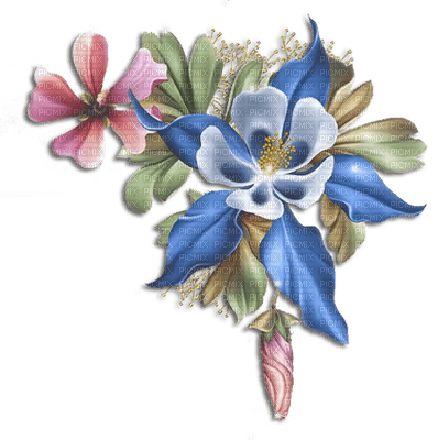 minou-blue-bleu-blu-blå-flower-fleur-fiore-blomma - PNG gratuit