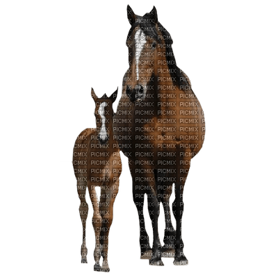 dulcineia8 cavalos - 免费PNG