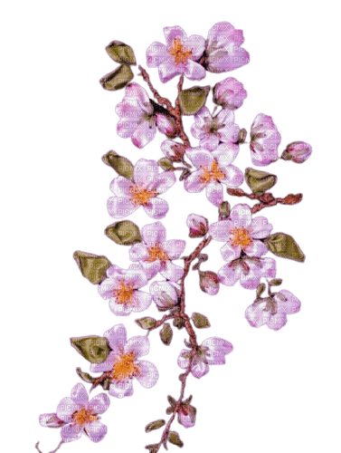 pink flowers - Free PNG
