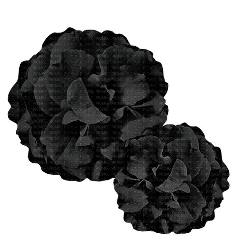 kikkapink gothic rose roses flowers black - безплатен png
