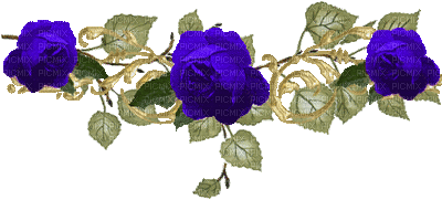 flowers katrin - Darmowy animowany GIF